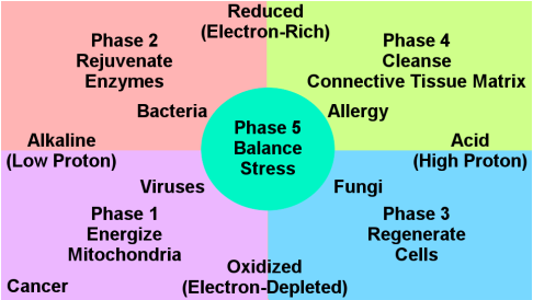 Finally Heal the Underlying Causes of Your Suffering.